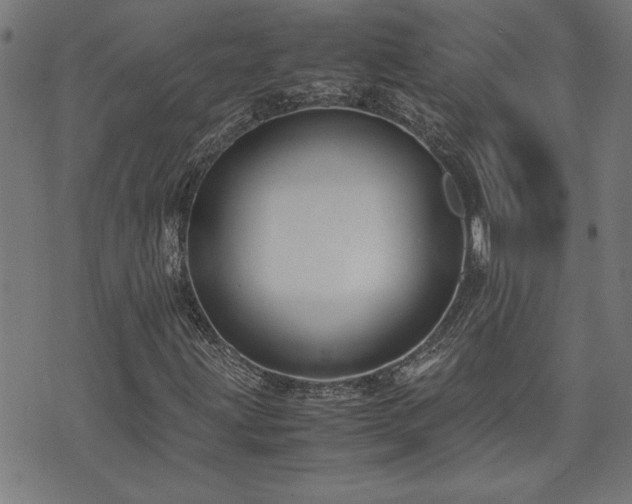 X0000071841203200606301304