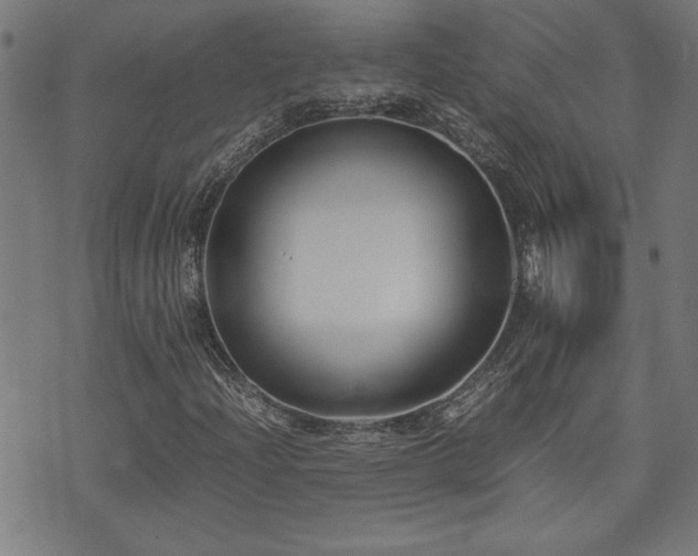 X0000071841204200606301304