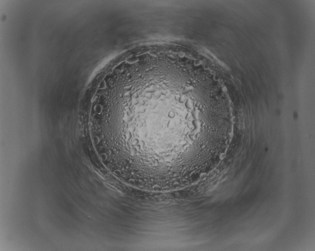 X0000071841208200606301304