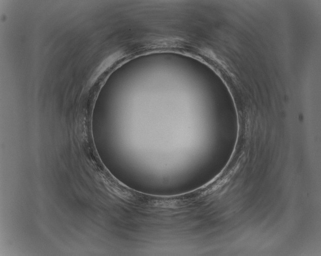 X0000071841211200606301304