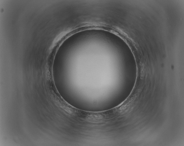 X0000071841215200606301304