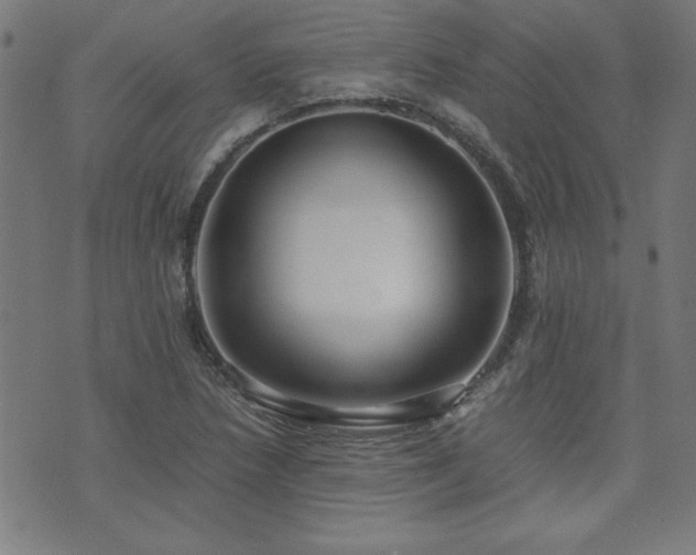 X0000071841218200606301304