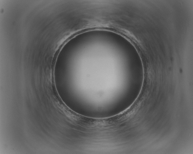 X0000071841220200606301304