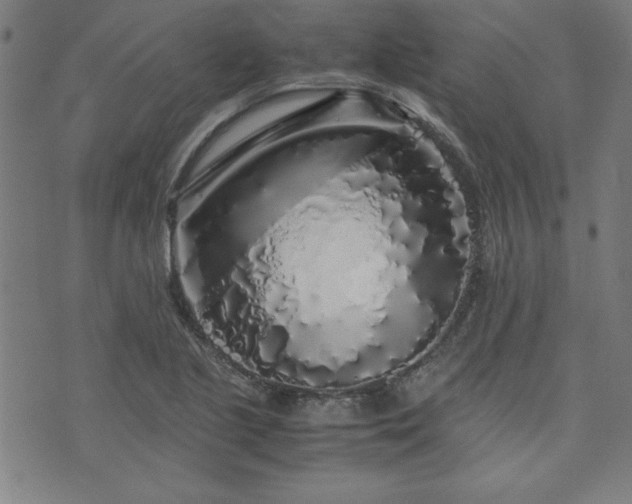 X0000071841221200606301304