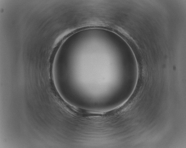 X0000071841222200606301304