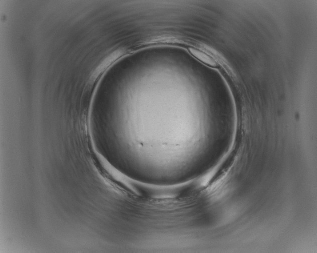 X0000071841241200606301304