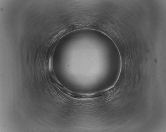 X0000071841250200606301304