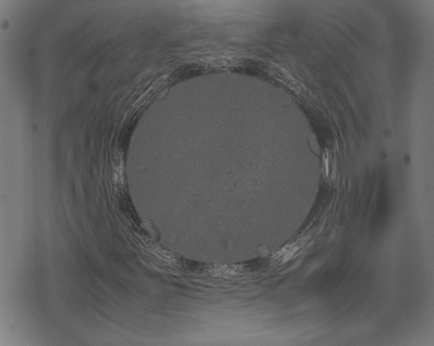 X0000071841251200606301304