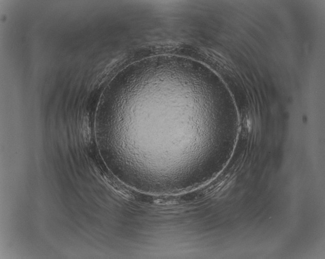 X0000071841252200606301304