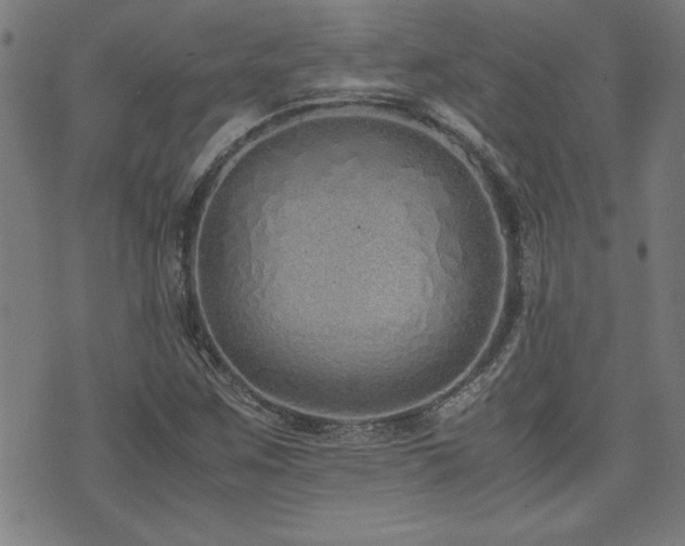 X0000071841259200606301303