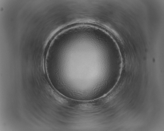 X0000071841272200606301303