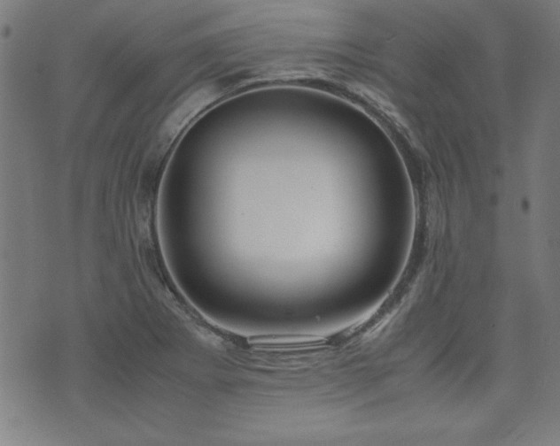 X0000071841273200606301303