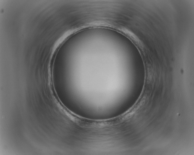 X0000071841286200606301303