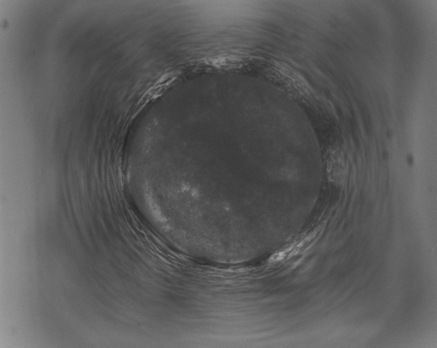 X0000071841298200606301302