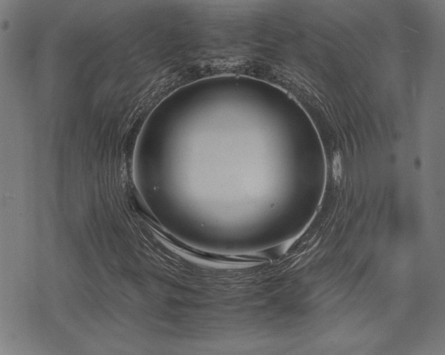 X0000071841299200606301302