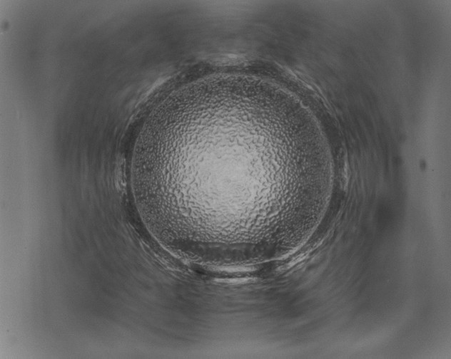 X0000071841301200606301302