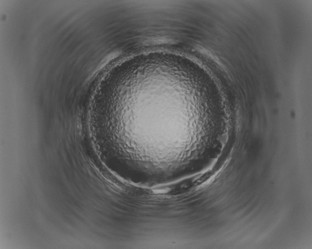X0000071841305200606301302