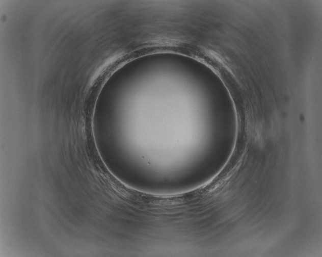 X0000071841307200606301302