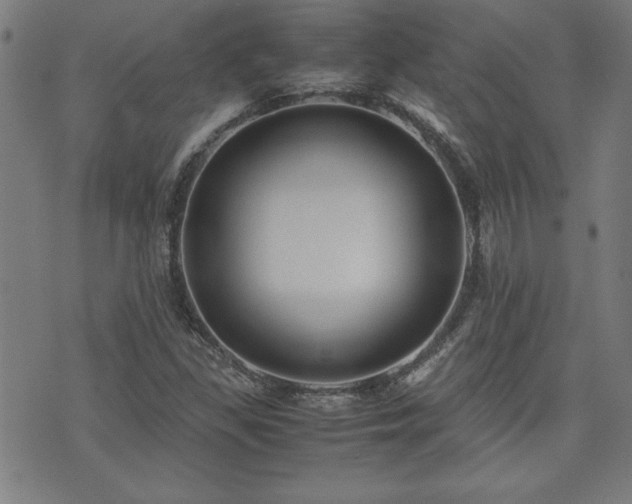 X0000071841309200606301302