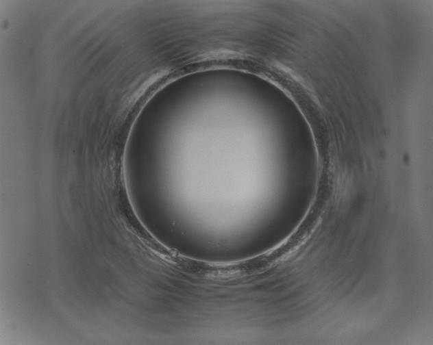 X0000071841313200606301302