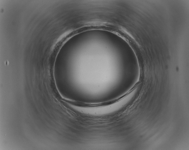 X0000071841315200606301302