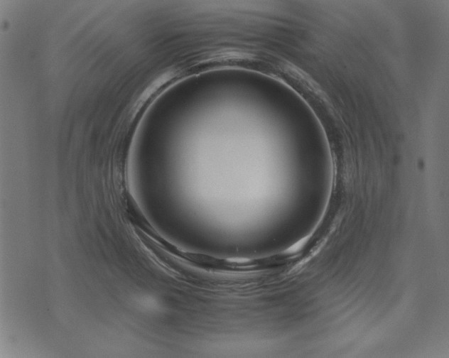 X0000071841321200606301302