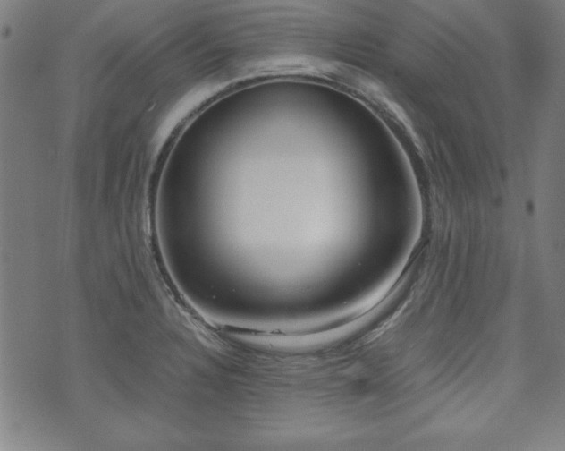 X0000071841328200606301303