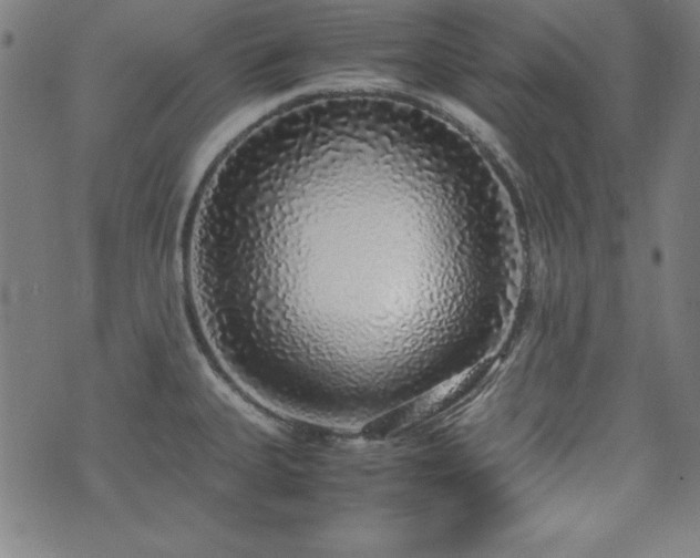 X0000071841335200606301303