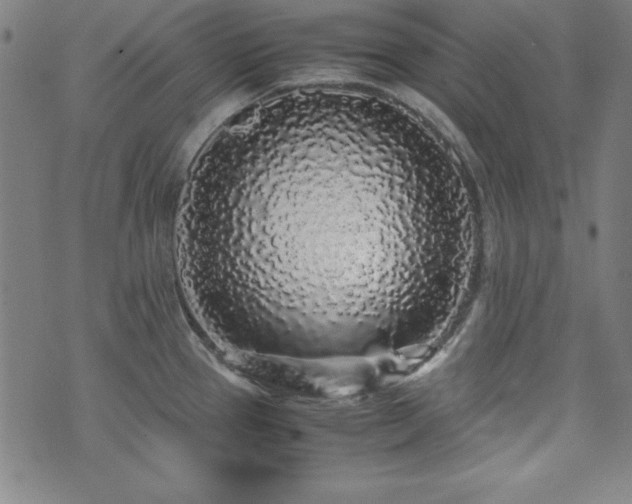 X0000071841337200606301303