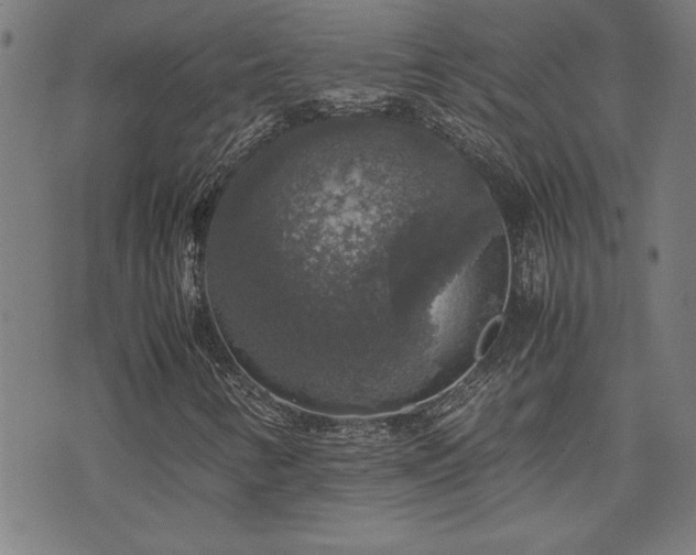 X0000071841346200606301302