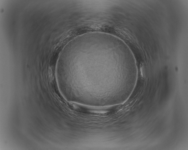 X0000071841347200606301302