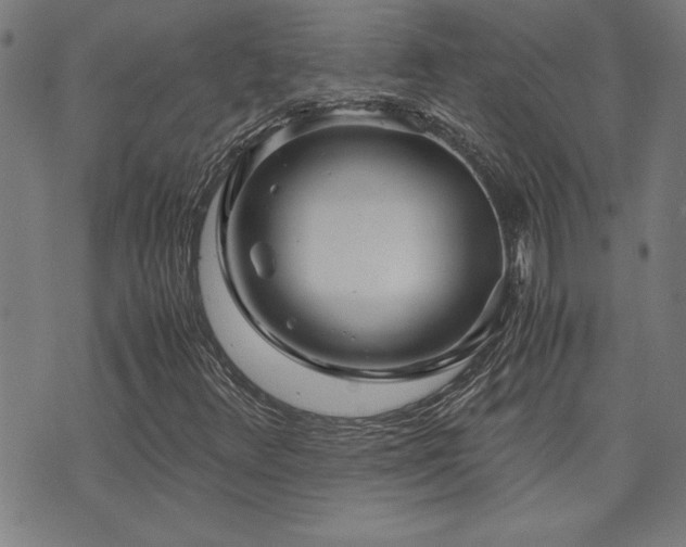 X0000071841348200606301302