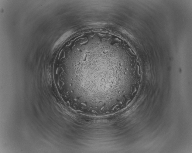 X0000071841354200606301302