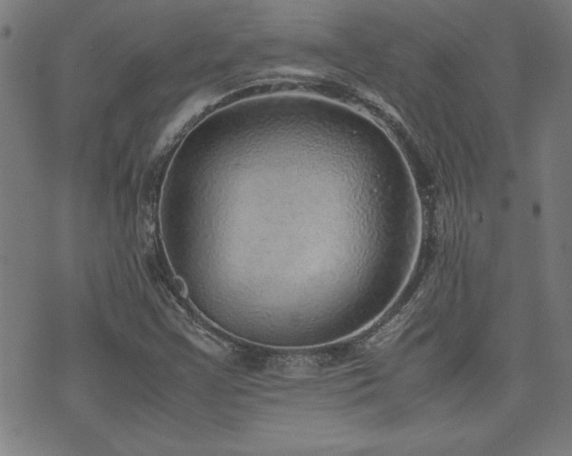 X0000071841355200606301302