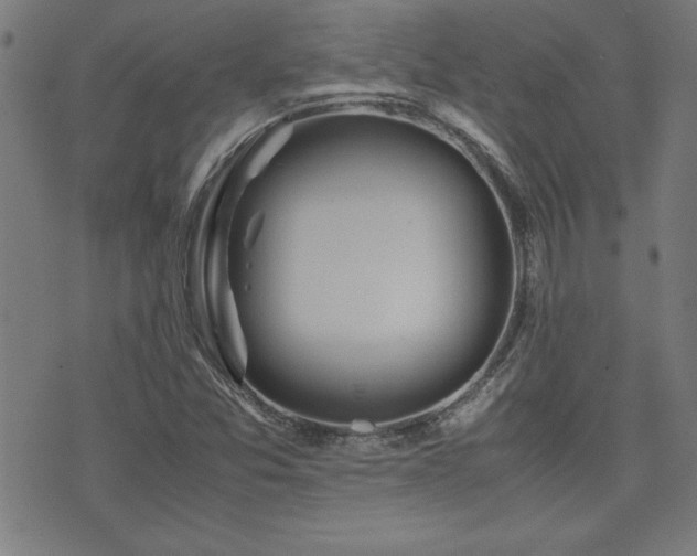 X0000071841357200606301302