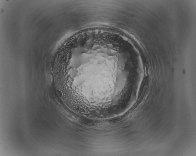 X0000071841363200606301302