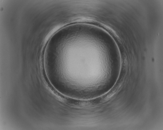 X0000071841375200606301302