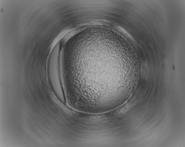 X0000071841378200606301302