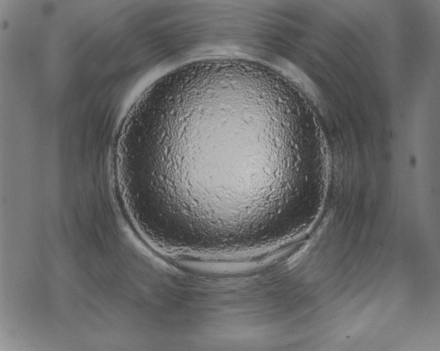 X0000071841382200606301301