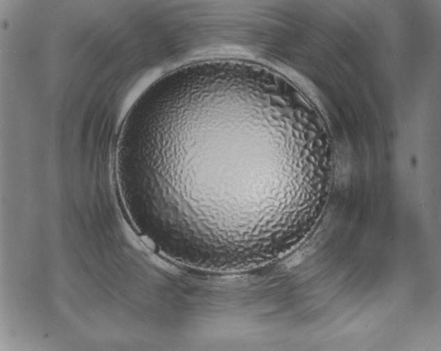 X0000071841390200606301301