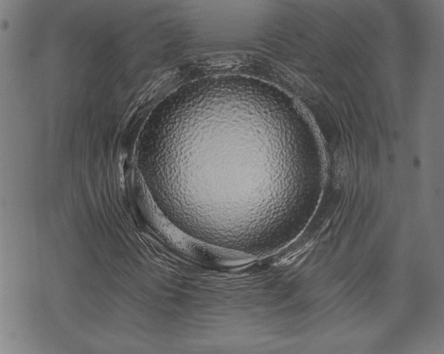 X0000071841394200606301301