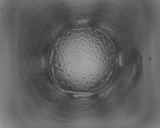 X0000071841395200606301301