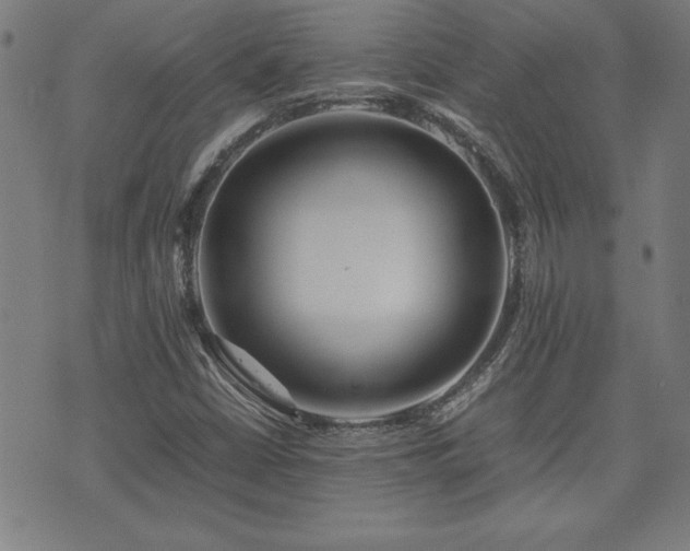 X0000071841402200606301301