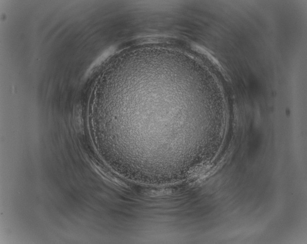 X0000071841403200606301301