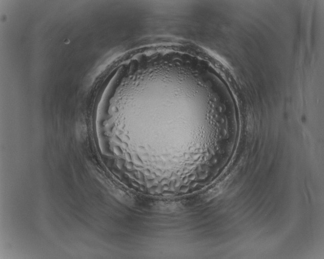 X0000071841407200606301301