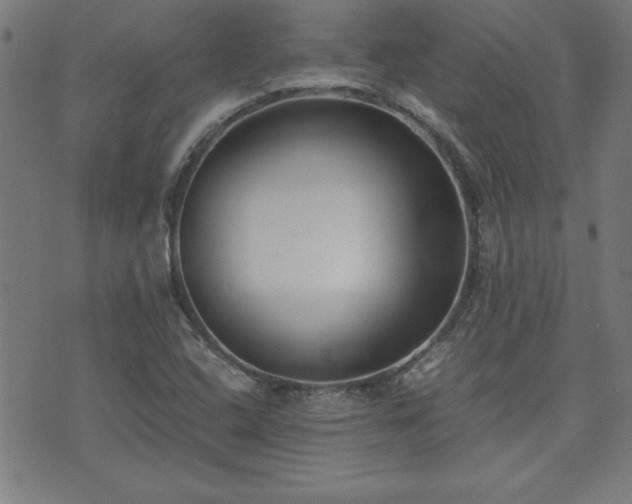 X0000071841408200606301301