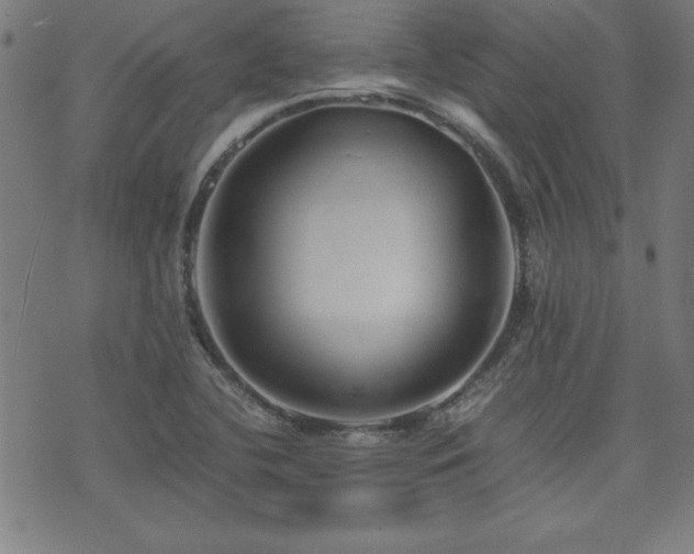 X0000071841412200606301301