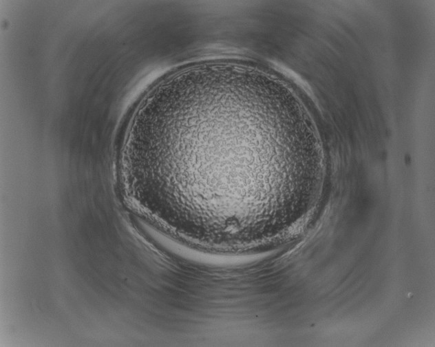X0000071841415200606301301