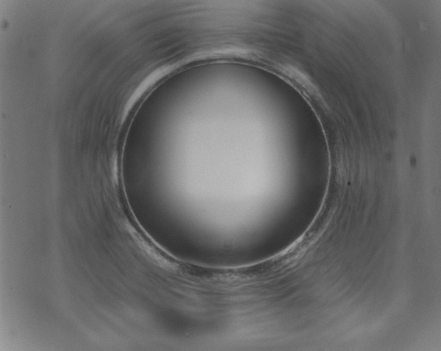 X0000071841420200606301301