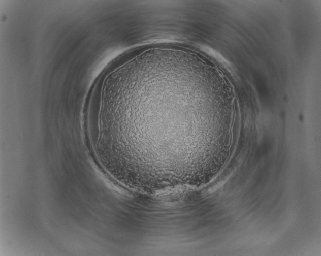 X0000071841423200606301301